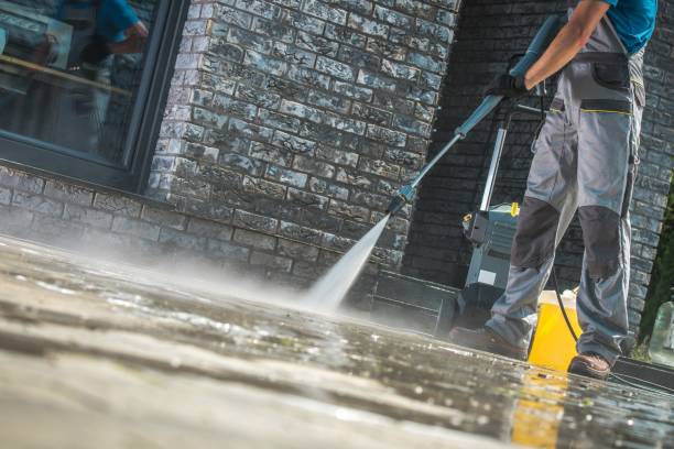 Best Graffiti Removal  in Pahokee, FL